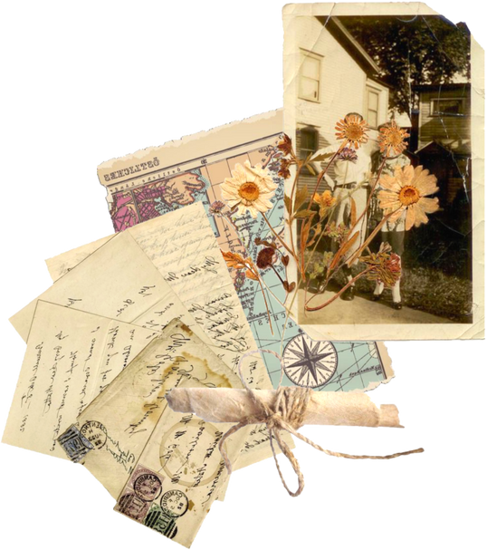 Vintage Photos & Dried Daisy 